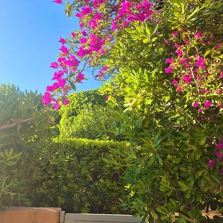 Apartament Le Jardin D'azur - Vue - Clim - Piscine